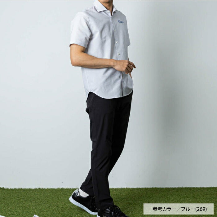 PICONE CLUB ピッコーネクラブ ゴルフウェア メンズ UV速乾サッカーストライプシャツ 半袖 吸水速乾 UVケア加工 クール&ドライ MADE IN JAPAN c565304