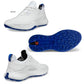 ECCO エコー メンズ ECCO Golf BIOM H5 Hybrid メンズ レザーウォータープルーフゴルフシューズ 138014