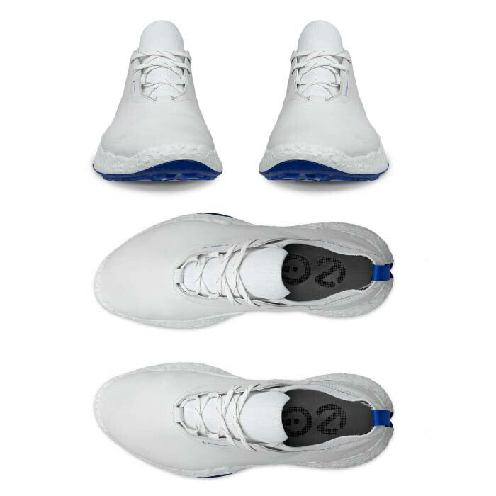 ECCO エコー メンズ ECCO Golf BIOM H5 Hybrid メンズ レザーウォータープルーフゴルフシューズ 138014